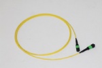 MPO Trunk cable